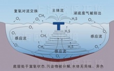  水中溶解氧測定原理