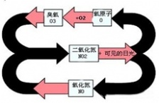  大氣揮發性有機物在臭氧生成中的作用