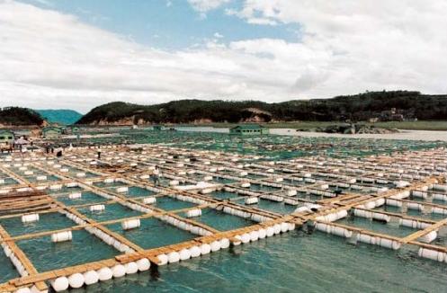  水產養殖與水質檢測儀器