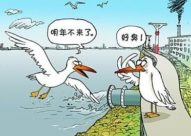  國家飲用水標準及水質合格率是多少？