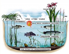  銀海地產河道水質監測